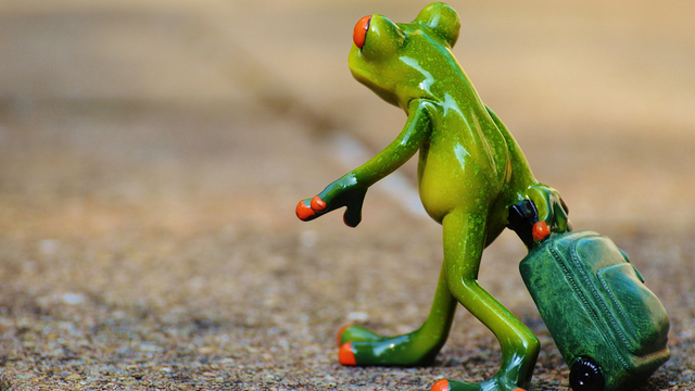 Maßgeschneiderte Reisen