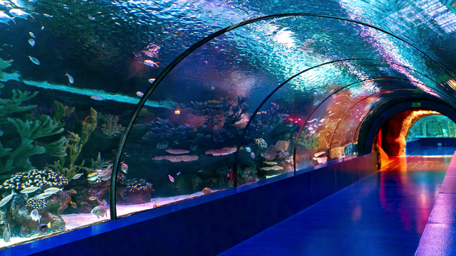 Antalya Aquarium